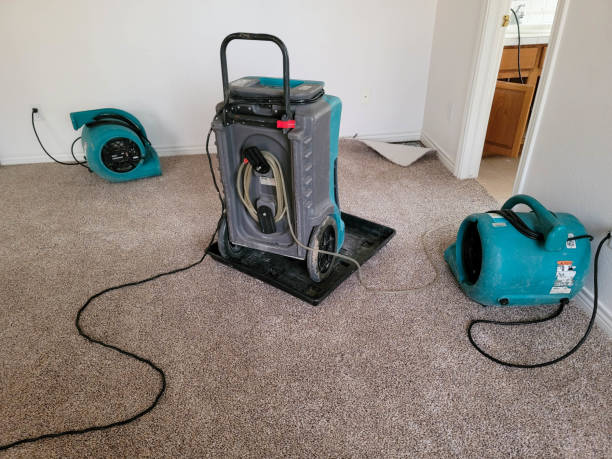 Best Water damage restoration company  in Booneville, MS