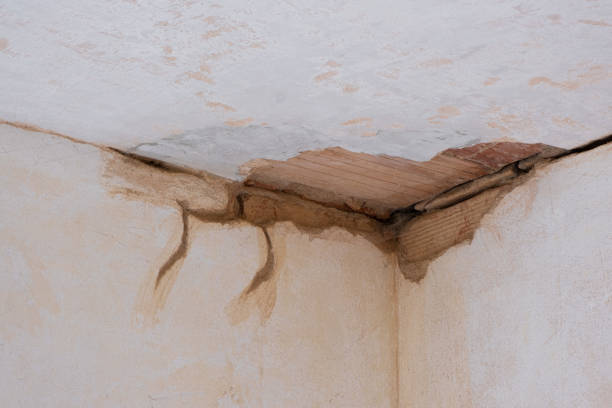 Best Flood damage cleanup  in Booneville, MS