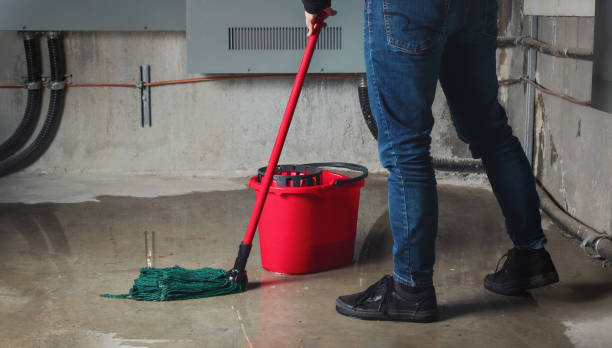 Best Flood restoration services  in Booneville, MS