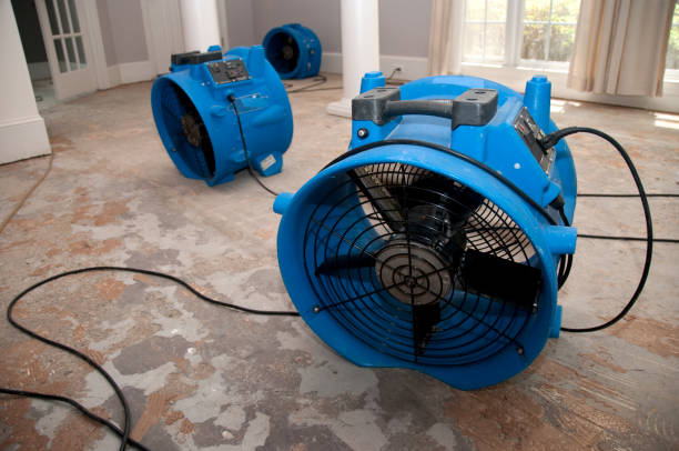 Best Mold removal after water damage  in Booneville, MS