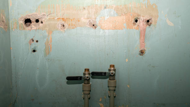 Best Sewage cleanup and water damage restoration  in Booneville, MS