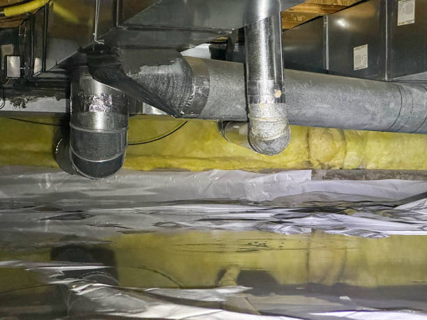 Best Carpet water damage restoration  in Booneville, MS