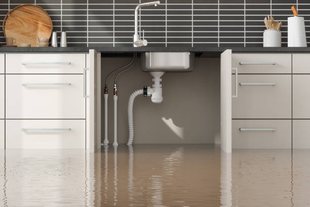 Best Professional water damage repair  in Booneville, MS